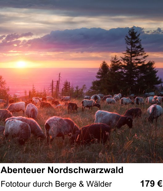 Naturnaher Foto-Workshop mit dem Thema Abenteuer Nordschwarzwald: Fototour durch Berge & Wälder