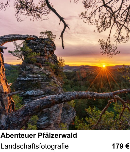 Naturnaher Foto-Workshop mit dem Thema Abenteuer Pfälzerwald: Landschaftsfotografie