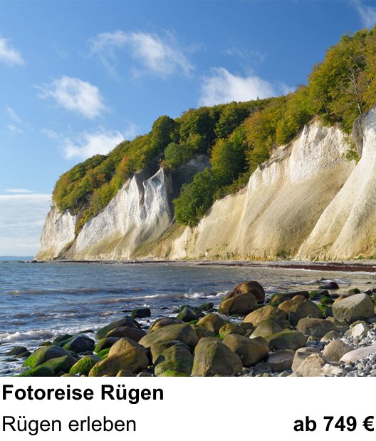 Naturnaher Foto-Workshop mit dem Thema Fotoreise Rügen: Rügen erleben