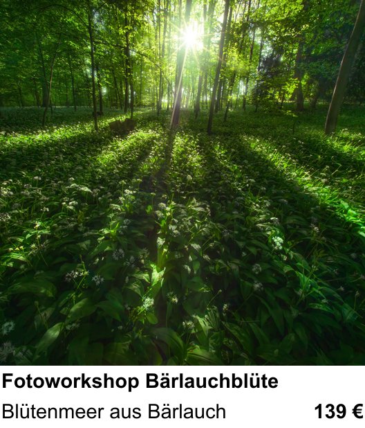 Naturnaher Foto-Workshop mit dem Thema Fotoworkshop Bärlauchblüte: Blütenmeer aus Bärlauch