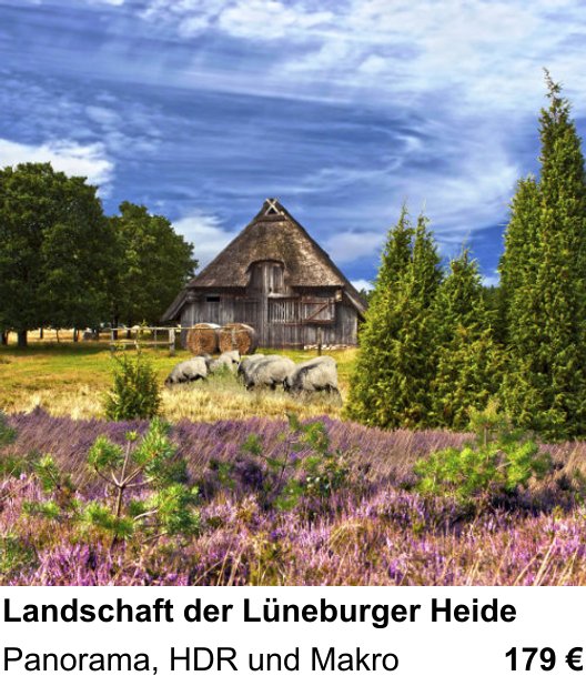Naturnaher Foto-Workshop mit dem Thema Landschaft der Lüneburger Heide: Panorama, HDR und Makro
