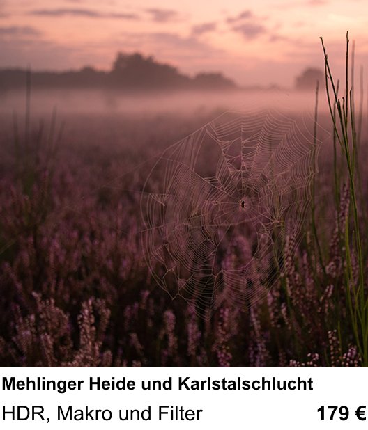 Naturnaher Foto-Workshop mit dem Thema Mehlinger Heide und Karlstalschlucht: HDR, Makro und Filter