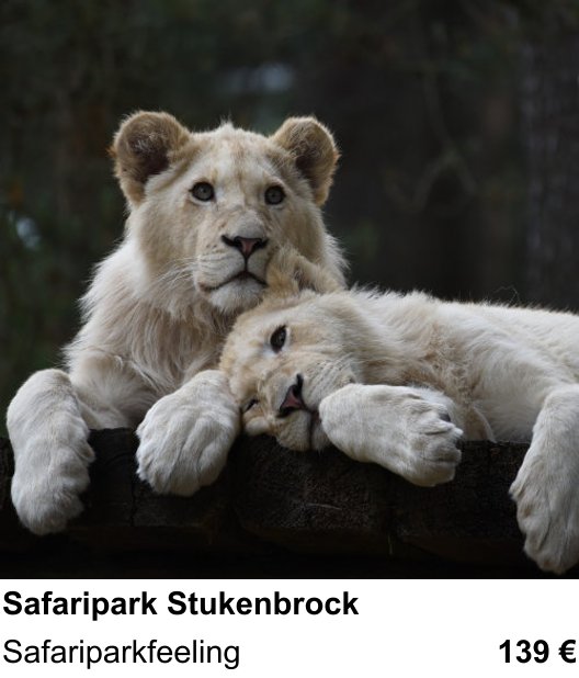 Naturnaher Foto-Workshop mit dem Thema Safaripark Stukenbrock: Safariparkfeeling