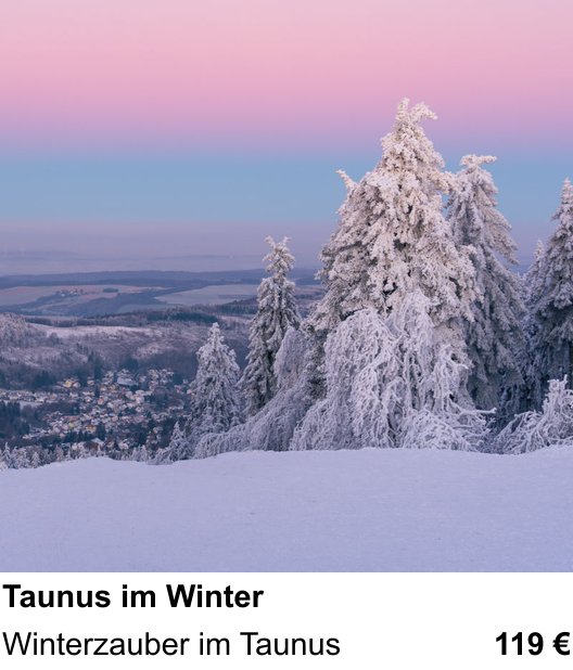 Naturnaher Foto-Workshop mit dem Thema Taunus im Winter: Winterzauber im Taunus