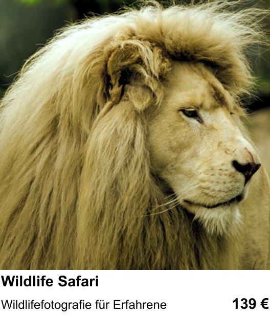 Im Fotoworkshop in Hamburg: Wildlife Safari