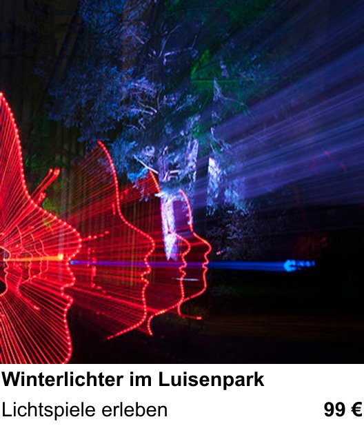 Naturnaher Foto-Workshop mit dem Thema Winterlichter im Luisenpark: Lichtspiele erleben