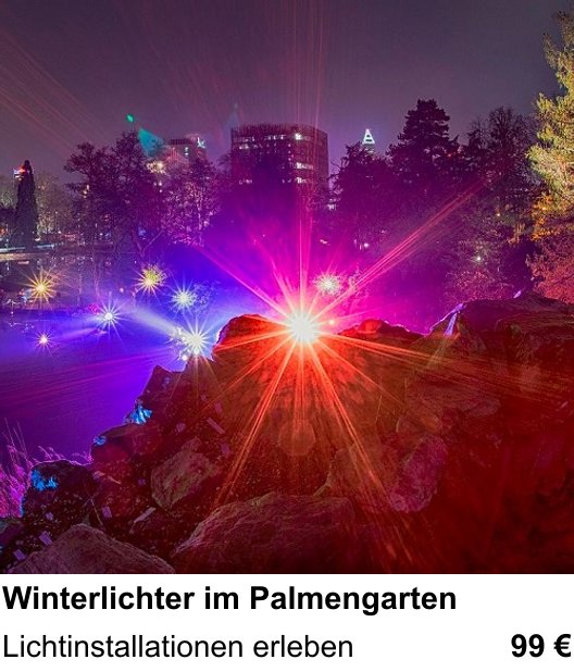 Naturnaher Foto-Workshop mit dem Thema Winterlichter im Palmengarten: Lichtinstallationen erleben
